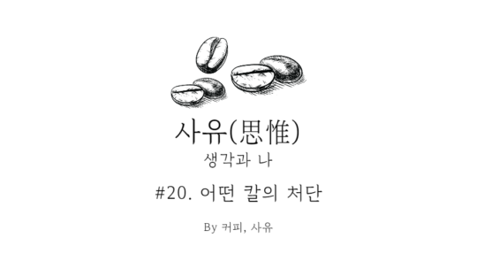 사유 #20. 어떤 칼의 처단