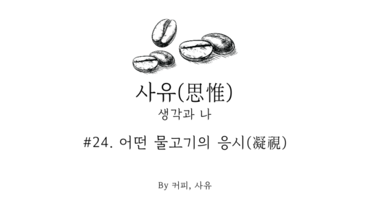 사유 #24. 어떤 물고기의 응시(凝視)