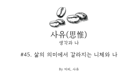 사유 #45. 삶의 의미에서 갈라지는 니체와 나