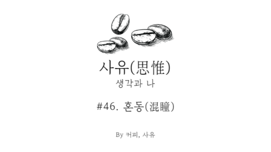 사유 #46. 혼동(混瞳)