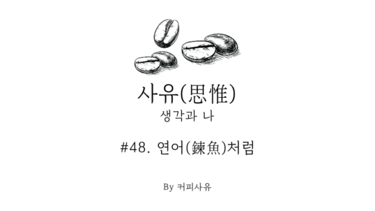 사유 #48. 연어(鍊魚)처럼